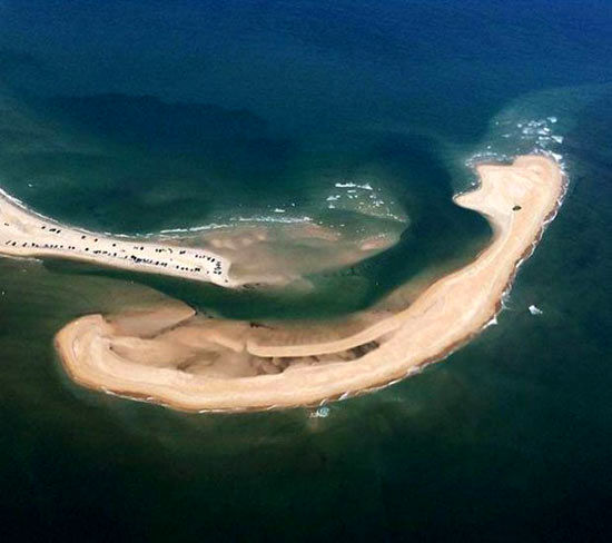 پدیدار شدن جزیره‌ای زیبا و خطرناک در ساحل شرقی آمریکا