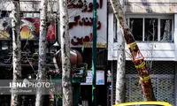 برج‌هایی که جای درختان را گرفته‌اند