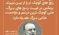 هایلایت (446)