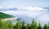 جنگل ابر شاهرود؛ ساعاتی در میان ابر و رویا