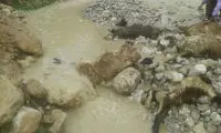 سیل دیروز لرستان ۱۰۰ گوسفند را تلف کرد