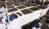 بزرگ‌ترين كيك بستني جهان
