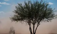 عکس: رالی داکار 2015