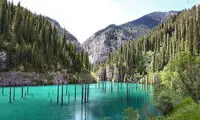 جنگلی در زیر آب