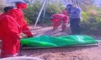 قتل پیرمرد ۷۵ ساله به دست همسرش با حیله و نیرنگ