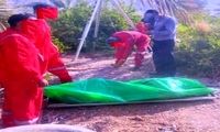 قتل پیرمرد ۷۵ ساله به دست همسرش با حیله و نیرنگ
