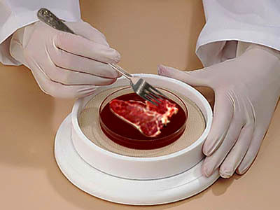 تولید گوشت مصنوعی در آزمایشگاه