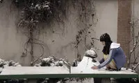 «رویاهای دم صبح» در برلین به نمایش درمی‌آید