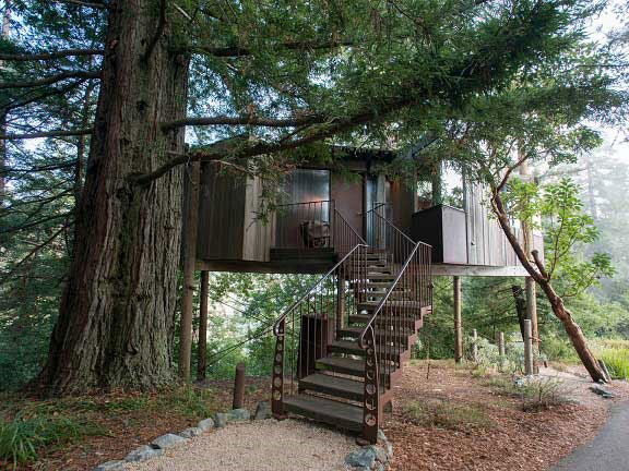 عکس: هتل‌ هایی در دل جنگل