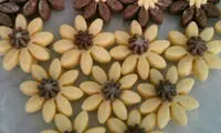 شیرینی های جدید نوروزی (1)