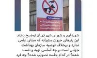 حمله بنریِ شهرداری به حیوانات به بهانه کرونا
