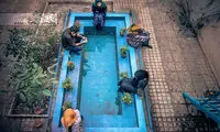 تازه‌ترین اجرای پاپتی‌ها در یک خانه مسکونی