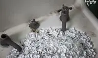 تبدیل سرویس بهداشتی به گلدان چینی!