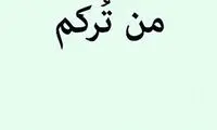 عکس: واکنش تتلو به فیتیله ای ها