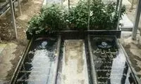 روایتی از مزار دو شهید در بهشت زهرا