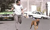 چند می‌گیری حیوون منو بگردونی؟