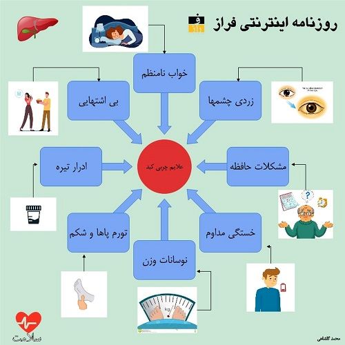 اینفوگرافی؛ علائم کبد چرب