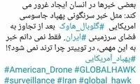 واکنش همسر مهاجرانی به سرنگونی پهپاد آمریکایی
