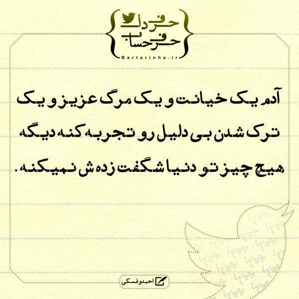 حرفِ دل، حرفِ حساب (117)