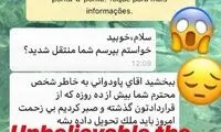 صاحب‌خانه، پادوانی را جواب کرد!