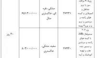 فروش فوری ۲۰۶ و ۴۰۵ مدل ۹۸ امروز اغاز می‌شود