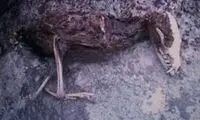 ماجرای سگی که به دایناسور تبدیل‌شد!