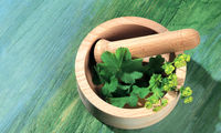 معجزات گیاهان دارویی در افسردگی