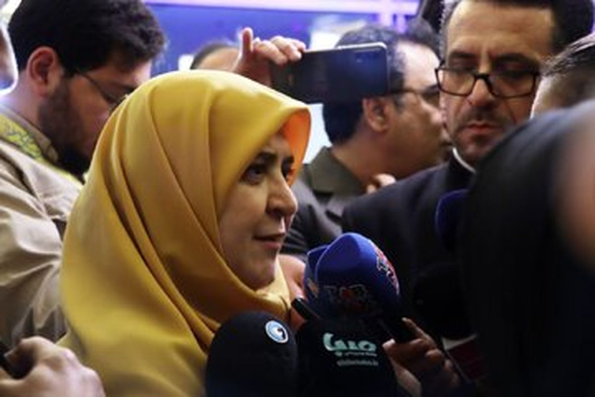   مهاجرانی: دولت مقابل فحاشی‌ها صبوری می‌کند! 
