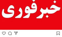 محسن فروزان و همسرش بازداشت شدند