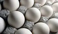 تخم مرغ ارزان شد؟