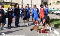 قربانی عراقی‌ها پیش از دیدار با تایلند