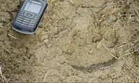 پلنگ مهاجم از کشته شدن جان به در برد!