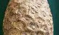کشف ظروف سنگی عتیقه در تربت‌جام