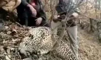 دستگیری شکارچی پلنگ در رودبار