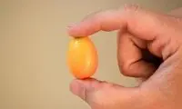میوه هایی که احتمالاً تا بحال ندیده اید!