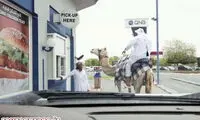 سفارش همبرگر با طعم شتر! +عکس