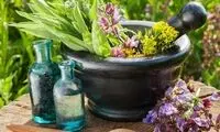 ۱۷توصیه‌ طب ایرانی برای فصل بهار