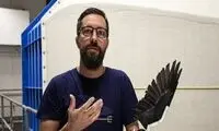 پهپادهایی که با پرندگان واقعی مو نمی‌زنند