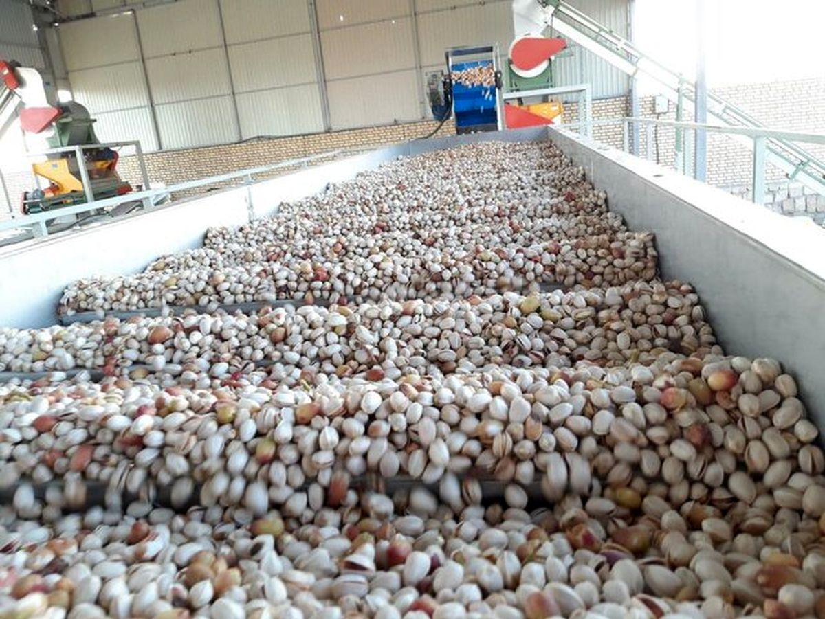 بستهبندی چندشآور آجیل شب عید توسط یک افغانی!