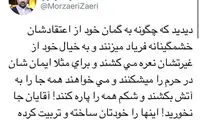 کنایه زائری به اتفاقات مشهد و قم