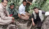 کشف لاشه پوسیده یک پلنگ در کردستان