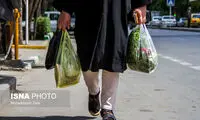 کیسه‌های «پلاستیکی» بلای جان طبیعت