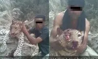 مرگ چهارمین پلنگ ایرانی در سال 94 +عکس