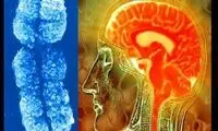 شناسایی ژن‌های مرتبط با ناتوانی ذهنی