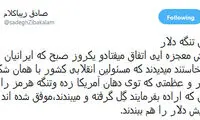 زیباکلام: مسئولان به جای هرمز، تنگه دلار را ببندند