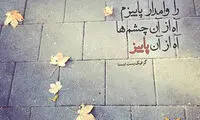 مینی شعر (321)