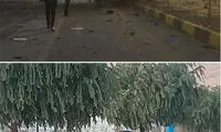 جزئیات ترور شهید فخری‌زاده در آبسرد دماوند