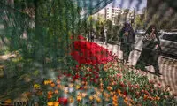 عکس: كاشت لاله به ياد مادر در تهران