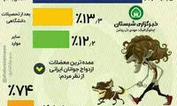اینفوگرافی؛ چرا جوانان ازدواج نمی‌کنند؟