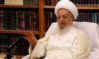 آیت‌الله مکارم: FATF، کنوانسیون استعماری است